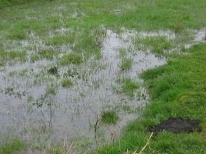 Pluie: le jardin est inondé